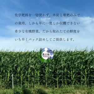 【冷凍】有機とうもろこし 6本セット 食べ応え...の詳細画像1