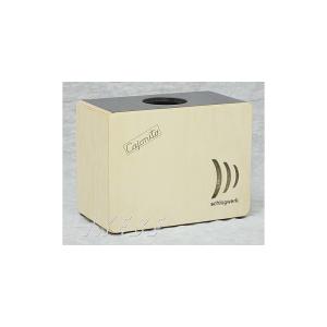 カホン Schlagwerk Percussion SR-DC300 Cajon Compact Cajonito