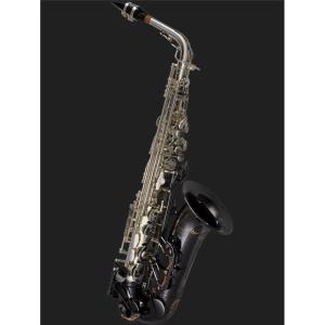 ヤナギサワ アルトサックス Kz ネック ブラス製 ラッカー仕上げ AKz1