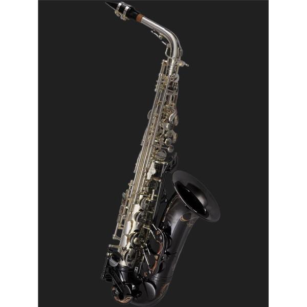 Cannonball 【お取り寄せ商品】アルトサックス キャノンボールGA5-SB ジェラルドアルブ...