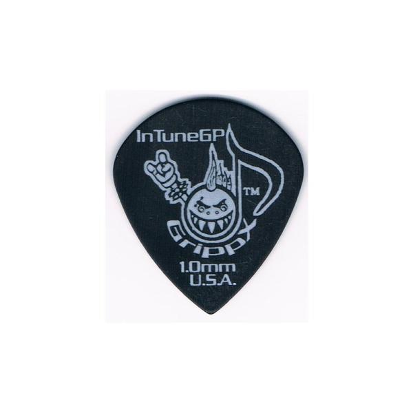 IN TUNE GP GrippX-XJb Jazz Guitar Picks (1.00mm/ブラ...