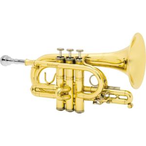 CAROL BRASS キャロルブラス / N6200 CL 【Bb フリューゲル