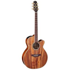 TAKAMINE TDP531KC N 【お取り寄せ商品】｜shibuya-ikebe