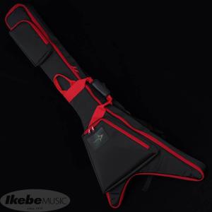 NAZCA 【夏のボーナスセール】 IKEBE ORDER Protect Case for Guitar