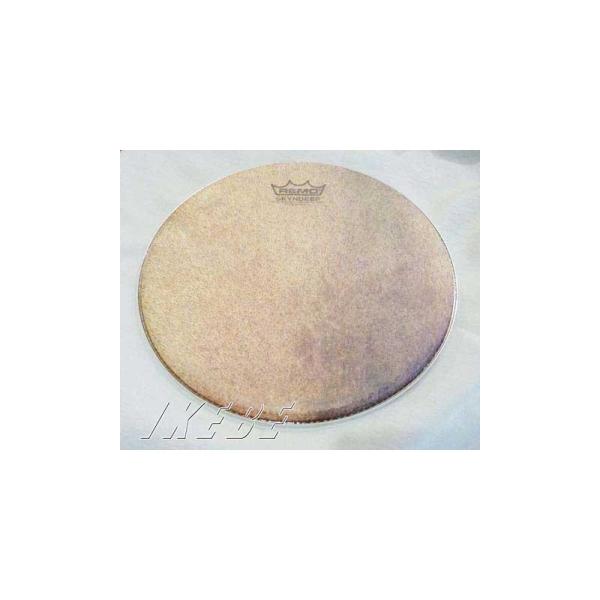 REMO UL0110BT013　REMOパンデイロ用ヘッド10