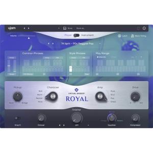 UJAM Virtual Bassist ROYAL 2(オンライン納品)(代引不可)｜shibuya-ikebe