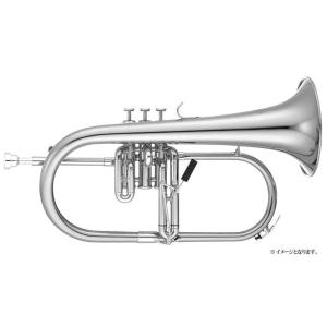 XO(エックスオー) 1646GB フリューゲルホルン ラッカー ゴールド