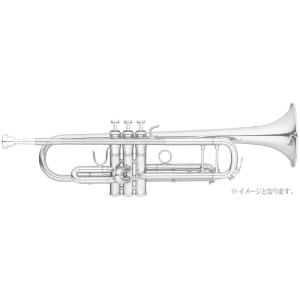Bob Reeves ボブ・リーブス トランペット マウスピース 41S 19リード