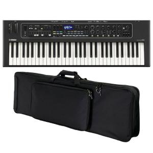CLAVIA（クラビア） nord / nord electro 6D 73(スタートセット！)(お