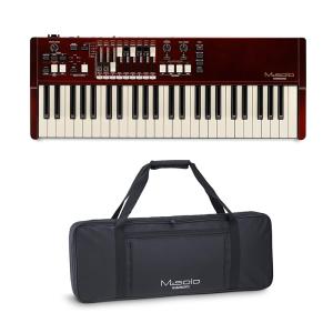 HAMMOND M-solo (49鍵盤・ハモンドドローバーオルガン) : イケベ楽器店