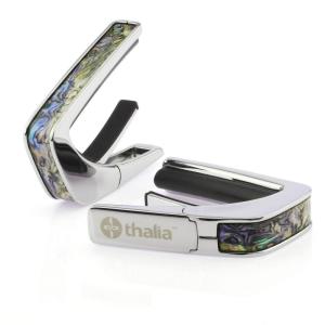 タリア カポ Thalia Capos 専用フレットパッド “16 インチ” ラディアス