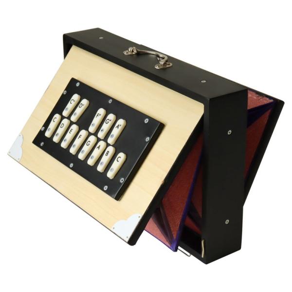 SoundKing BG-58/S/F [シュルティ・ボックス / 13音、Female Scale...