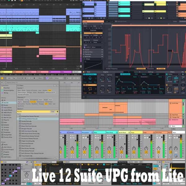 ableton Live 12 Suite UPG from Lite (オンライン納品)(代引不可...