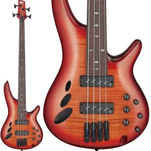 Ibanez Bass Workshop SRD900F-BTL｜shibuya-ikebe