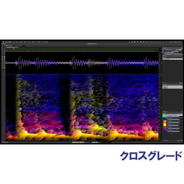 Steinberg 【 Pro Audio Sale 2024】SpectraLayers Pro ...