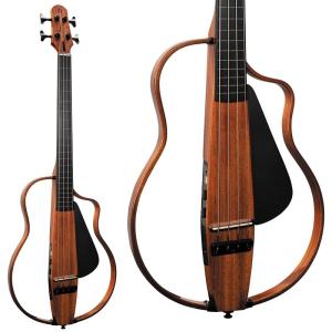 ARIA（アリア） ARIA FEB-F2/FL STBK(Stained Black) エレクトリック