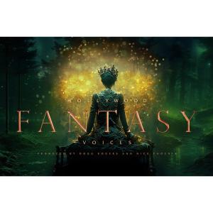 EAST WEST FANTASY VOICES ソフトウェアの高価買取価格
