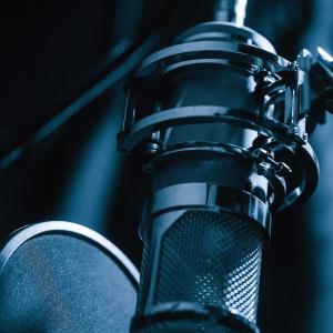 Lauten Audio LT-386 EDENの詳細画像4