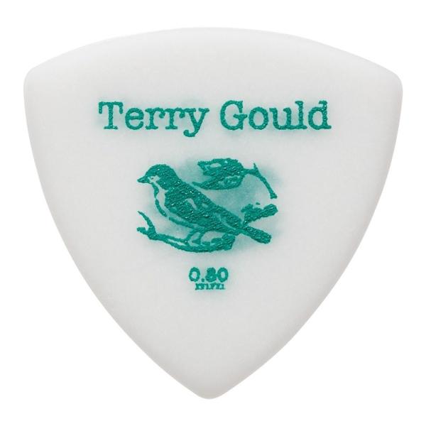 PICK BOY Terry Gould Sand Grip GUITAR PICK (WHITE/...