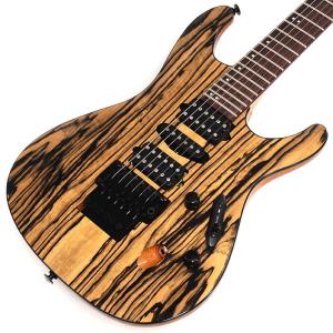 Xotic SP Compressor （エスピーコンプレッサー エキゾティック