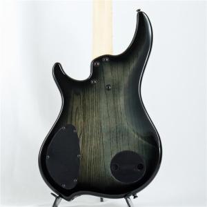 DINGWALL Combustion Nas...の詳細画像4