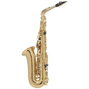 Selmer Paris アルトサックス セル...の詳細画像1