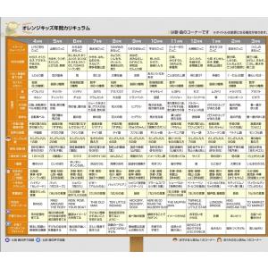 七田式CD教材〜オレンジキッズの詳細画像1