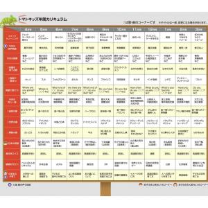 七田式CD教材〜トマトキッズの詳細画像2
