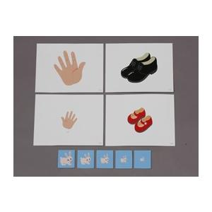 七田式 幼児の基礎概念シリーズ(3)大小 : しちだ・教育研究所 Yahoo!店