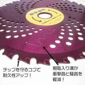 衝撃吸収 でかチップ コブ付き チップソー 2...の詳細画像2