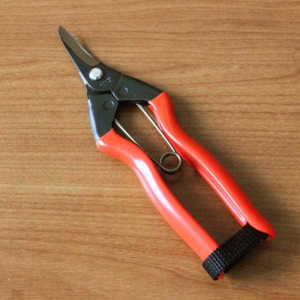 越路 採果・柑橘切鋏 S-20 小林製鋏