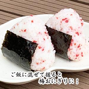 送料無料!紀州南高梅の乾燥梅肉 フリーズドライ...の詳細画像3