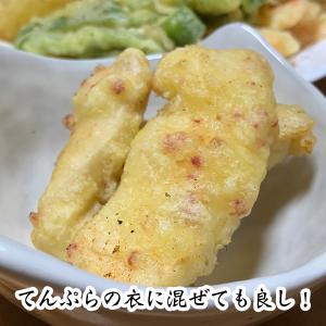 送料無料!紀州南高梅の乾燥梅肉 フリーズドライ...の詳細画像4