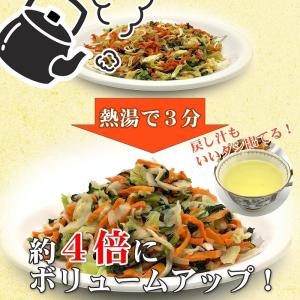送料無料 乾燥野菜国産ミックス 100g キャ...の詳細画像3
