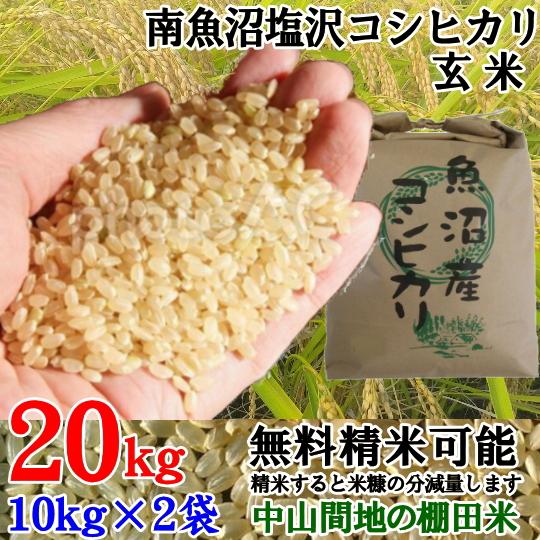 南魚沼塩沢コシヒカリ玄米20kg(10k×2)令和5年産 精米無料