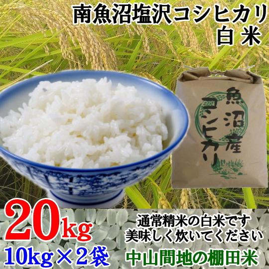 南魚沼塩沢コシヒカリ白米20kg(10k×2)令和5年産