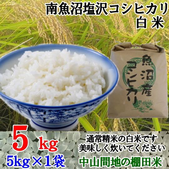 令和7年南魚沼産コシヒカリ精米(白米)5kg