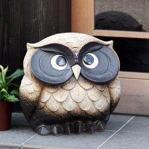 信楽焼 ふくろう 陶器 フクロウ 梟 置物 かわいい しがらき ギフト