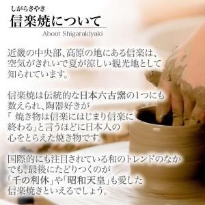 大壺 傘立て 花入れ 陶器 大型 おしゃれ 信...の詳細画像3
