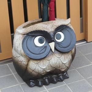 傘立て 陶器 信楽焼 おしゃれ ふくろう フクロウ 傘入れ モダン