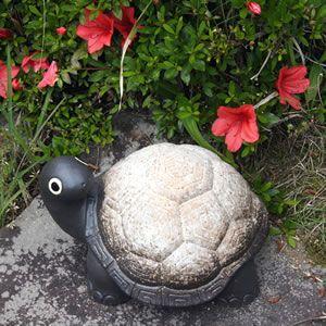 信楽焼 9号亀 粉引き風 可愛い風貌の陶器カメ 。縁起物のかめ  ok-0057