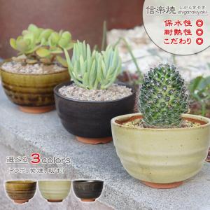 信楽焼 植木鉢 陶器 おしゃれ 山草鉢 フラワーポット サボテン鉢 多肉