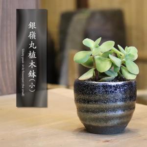 信楽焼 植木鉢 陶器 おしゃれ 山草鉢 フラワーポット サボテン鉢 多肉鉢 プランター 国産 山野草鉢 鉢 焼き物 銀嶺シリーズ 銀嶺丸型植木鉢（小） sa-0330｜shigaraki