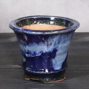 山野草鉢 信楽焼 手づくり 山草鉢 鉢 山草 コケ玉 手作り 植木鉢 陶器