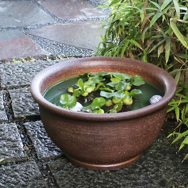信楽焼 睡蓮鉢 メダカ鉢 おしゃれ めだか鉢 陶器 水鉢 ビオトープ 金魚鉢 信楽焼き スイレン鉢 ...