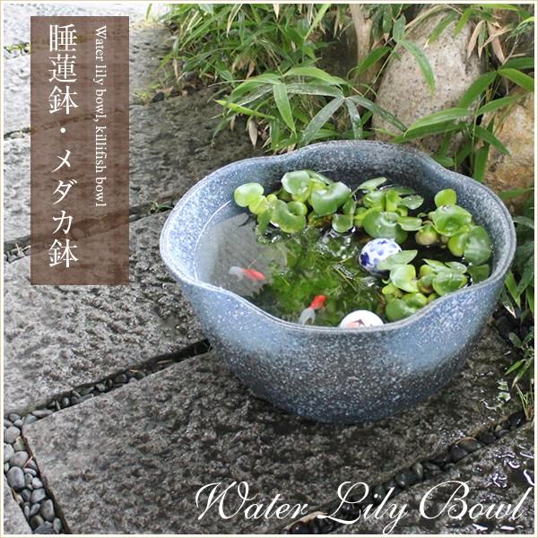 信楽焼 睡蓮鉢 メダカ鉢 おしゃれ めだか鉢 陶器 水鉢 ビオトープ 金魚鉢 スイレン鉢 ハス鉢 変...