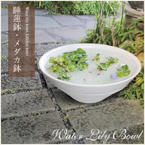 信楽焼 つくばい 竹付つくばい 金魚鉢 メダカ鉢 陶器 ツクバイ 蹲 手