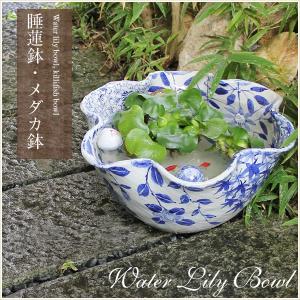 水鉢 特大 藍花 13号 睡蓮鉢 火鉢 水連鉢 和モダン ビオトープ 水鉢 特大 藍花 13号 睡蓮鉢 火鉢 水連鉢 和モダン ビオトープ