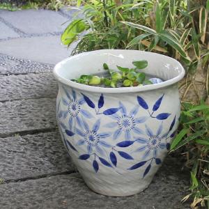 信楽焼 睡蓮鉢 メダカ鉢 おしゃれ めだか鉢 陶器 水鉢 ビオトープ