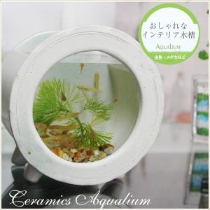 信楽焼 陶器水槽 陶器 ガラス 水槽 和風  インテリア メダカ鉢 金魚鉢 水鉢 やきもの ミニサイズ 丸型（白色）su-0211